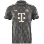 Tailandia Especial Camiseta Bayern Múnich 2024 2025 Gris